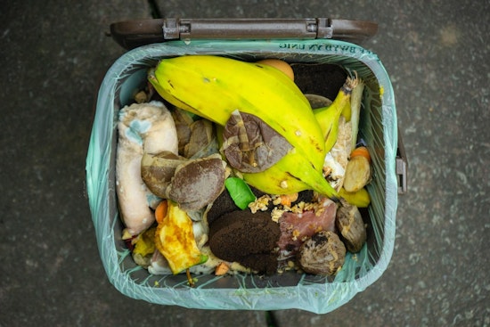 Minnetonka Proposes Cost-Effective Organics Recycling Plan with Weekly Curbside Pickup Starting in 2025