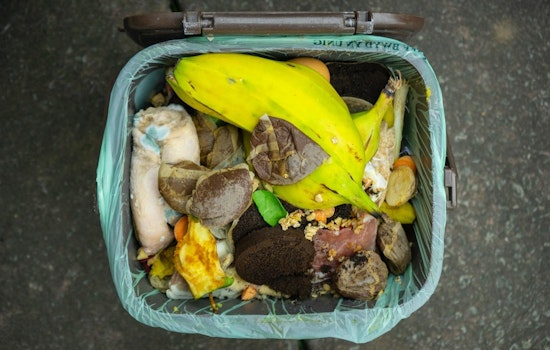 Minnetonka Proposes Cost-Effective Organics Recycling Plan with Weekly Curbside Pickup Starting in 2025