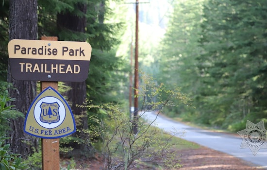 Missing Hiker Found Deceased in Mt. Hood National Forest, No Foul Play Suspected by Clackamas County Sheriff's Office