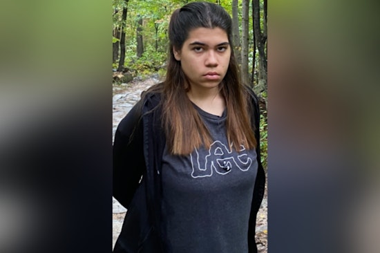 Montgomery County Rallies to Find Missing Teen, Police Seek Public's Aid in Search for Fernanda Da Silva