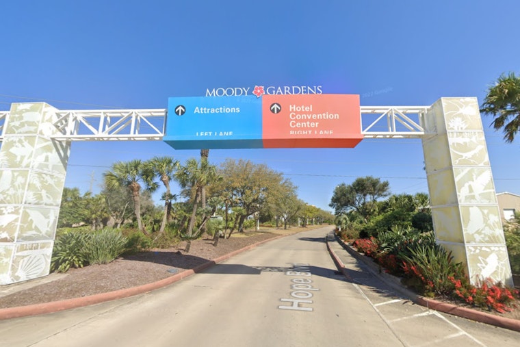 Moody Gardens in Galveston to Launch "Pole to Pole" Themed Ice Land Exhibit with 2 Million Pounds of Sculpted Ice