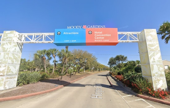 Moody Gardens in Galveston to Launch "Pole to Pole" Themed Ice Land Exhibit with 2 Million Pounds of Sculpted Ice