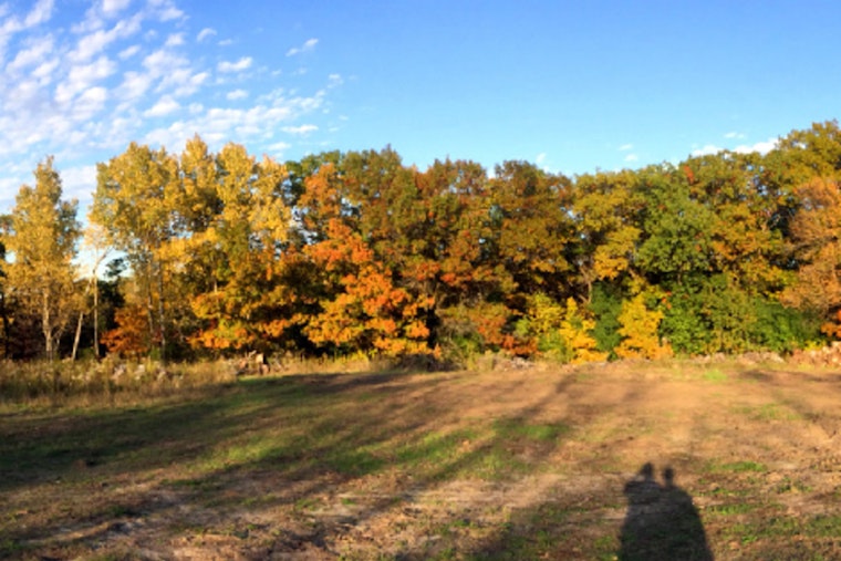 Murphy-Hanrehan Park Reserve Hosts Free Nature Wellness Walk in Scott County