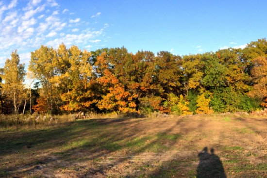 Murphy-Hanrehan Park Reserve Hosts Free Nature Wellness Walk in Scott County