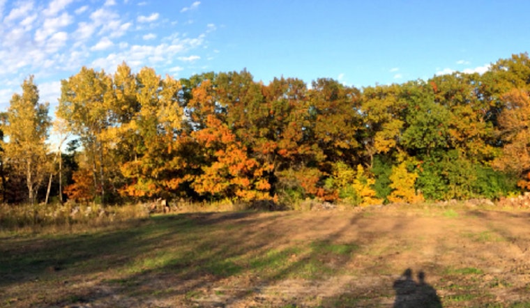 Murphy-Hanrehan Park Reserve Hosts Free Nature Wellness Walk in Scott County