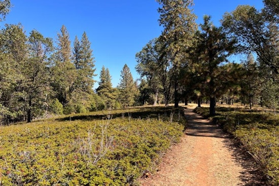 Nevada County Secures $750,000 Grant for Wildfire Evacuation Route and Vegetation Management