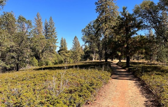Nevada County Secures $750,000 Grant for Wildfire Evacuation Route and Vegetation Management