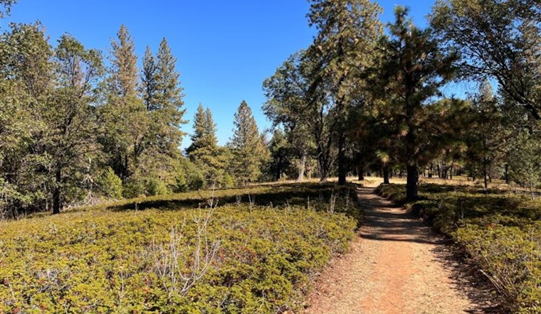 Nevada County Secures $750,000 Grant for Wildfire Evacuation Route and Vegetation Management