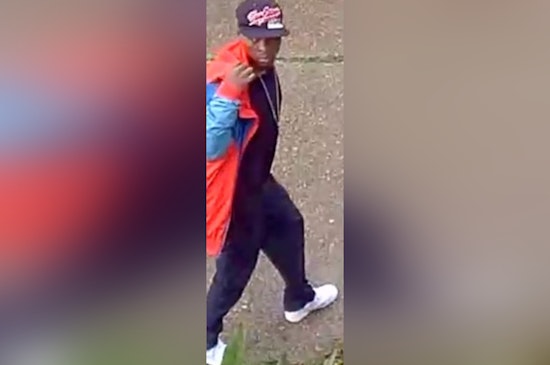 New Orleans Police Look to Public for Aid in Identifying Suspect in Midday Package Theft on MacArthur Boulevard