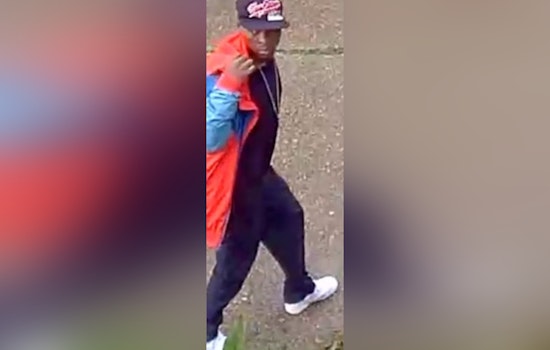 New Orleans Police Look to Public for Aid in Identifying Suspect in Midday Package Theft on MacArthur Boulevard