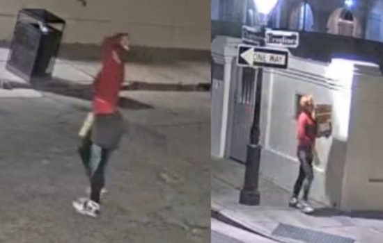 New Orleans Police Seek Public Help to Identify Suspect in Chartres Street Business Burglary