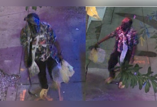 New Orleans Police Seek Public's Aid in Identifying Suspect in Magazine Street Vandalism Case