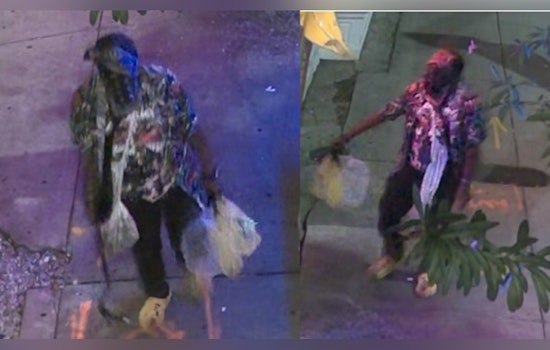 New Orleans Police Seek Public's Aid in Identifying Suspect in Magazine Street Vandalism Case