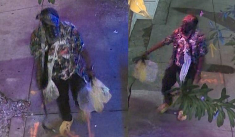 New Orleans Police Seek Public's Aid in Identifying Suspect in Magazine Street Vandalism Case