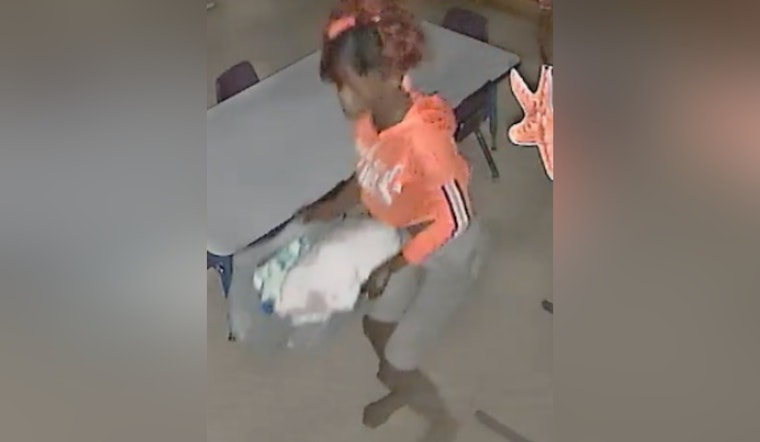 New Orleans Police Seek Public's Help in Identifying Suspect in Third District Business Burglary