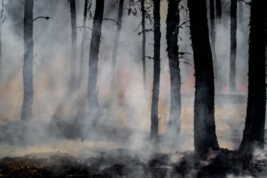 New York City and Hudson Valley Issues Air Quality Health Advisory Amidst New Jersey Wildfires