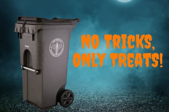 New York City Introduces Secure Trash Bin Rules to Combat Rats and Clean Up Streets