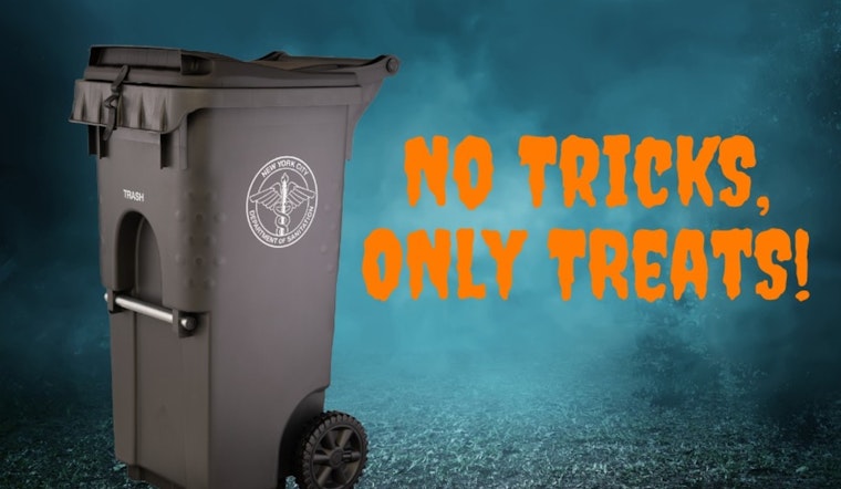 New York City Introduces Secure Trash Bin Rules to Combat Rats and Clean Up Streets