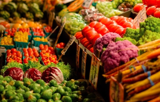 New York's Hunts Point Produce Market Dispatches 30 Million Pounds of Festive Fare for Thanksgiving