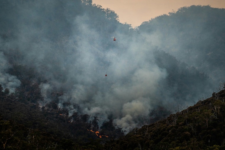 North Jersey Wildfire Spreads to 19 Acres, Blanketing Upper Manhattan, Inwood, and Bronx in Smoke as Firefighters Battle Flames