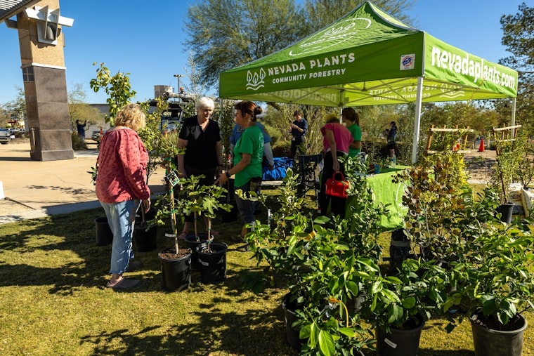 North Las Vegas Residents to Receive Free Trees in Sustainable Living Push