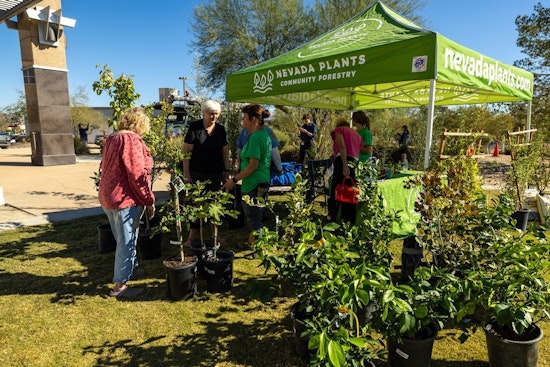 North Las Vegas Residents to Receive Free Trees in Sustainable Living Push