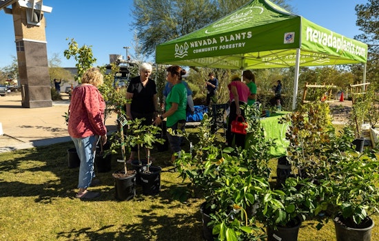 North Las Vegas Residents to Receive Free Trees in Sustainable Living Push