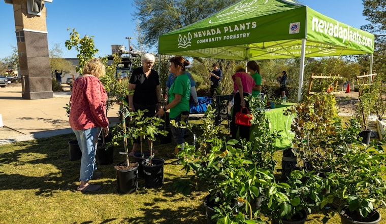 North Las Vegas Residents to Receive Free Trees in Sustainable Living Push