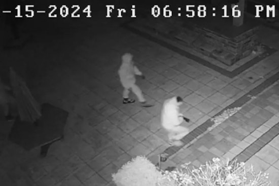 Novi Police Link Recent Home Invasions to South American Gang Activity, Urge Local Vigilance