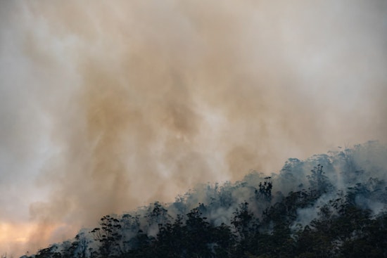 NYC Halts Firework and Open Flame Permits to Prevent Fires During Drought Emergency