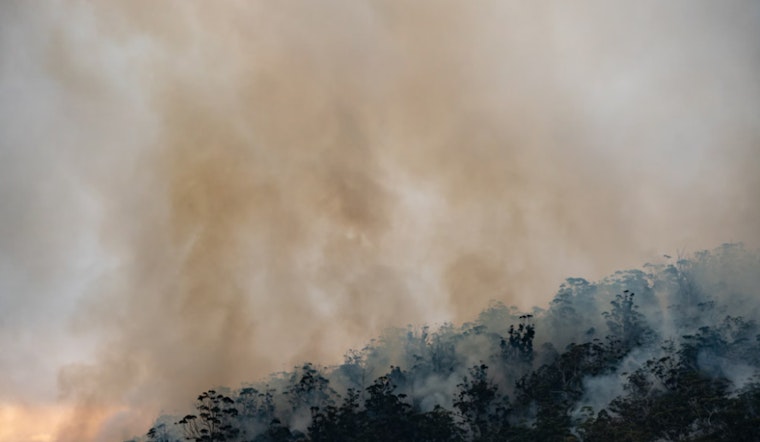 NYC Halts Firework and Open Flame Permits to Prevent Fires During Drought Emergency