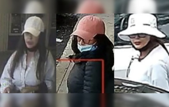 NYPD Hunts Three Suspects Accused of Swiping $20K from Car on Staten Island