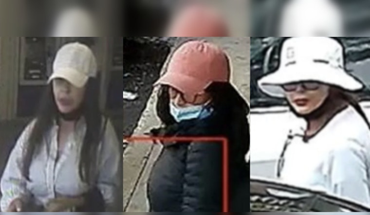 NYPD Hunts Three Suspects Accused of Swiping $20K from Car on Staten Island