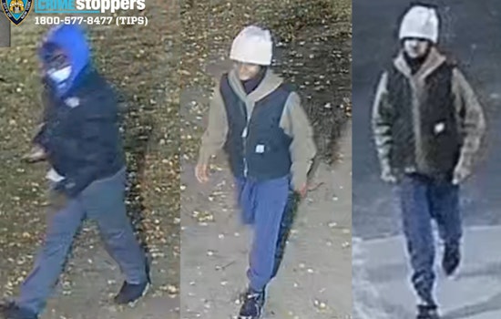 NYPD Seeks Information on Bronx Shooting, $3,500 Reward for Tips Leading to Arrest
