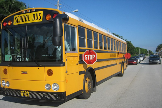 Ohio Teen Cited for Recklessly Bypassing School Bus Through Residential Yard in Tuscarawas County