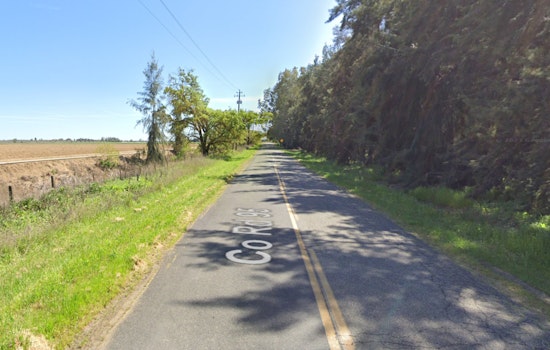 Olive Spill from Truck Causes Road Closure Near Woodland in Yolo County