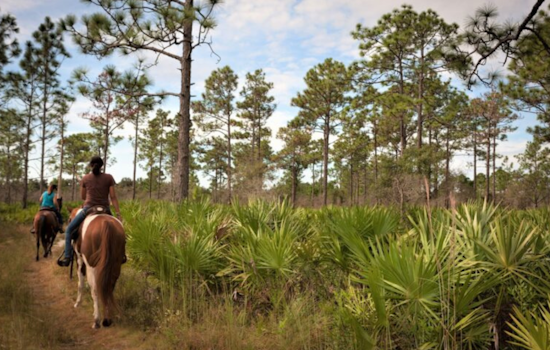 Orange County's Green Triumph: 1,700 Acres Saved from Development by Green PLACE Program