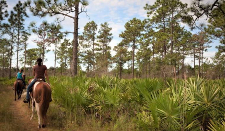 Orange County's Green Triumph: 1,700 Acres Saved from Development by Green PLACE Program