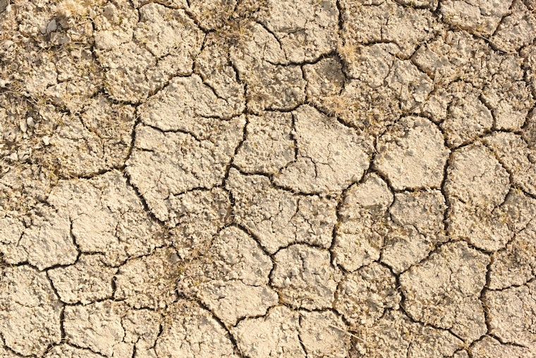 Oregon Governor Declares State of Emergency in Harney County Amid Severe Drought