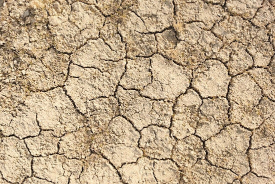 Oregon Governor Declares State of Emergency in Harney County Amid Severe Drought