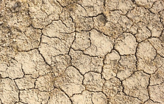Oregon Governor Declares State of Emergency in Harney County Amid Severe Drought