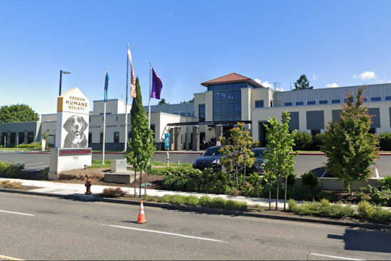 Oregon Humane Society's "Adopt Joy" Slashes Adoption Fees by 50% for Pets in Portland and Salem
