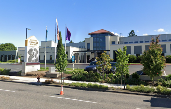 Oregon Humane Society's "Adopt Joy" Slashes Adoption Fees by 50% for Pets in Portland and Salem