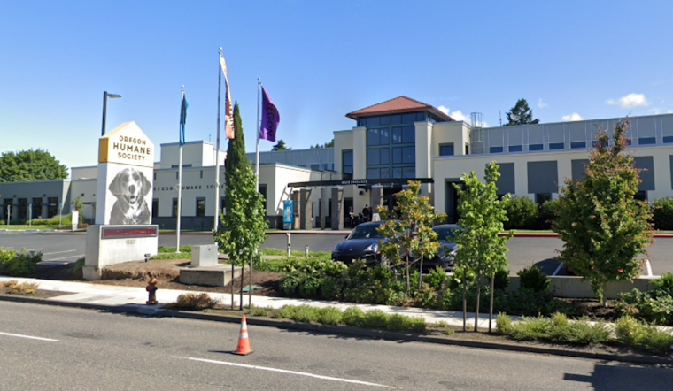 Oregon Humane Society's "Adopt Joy" Slashes Adoption Fees by 50% for Pets in Portland and Salem