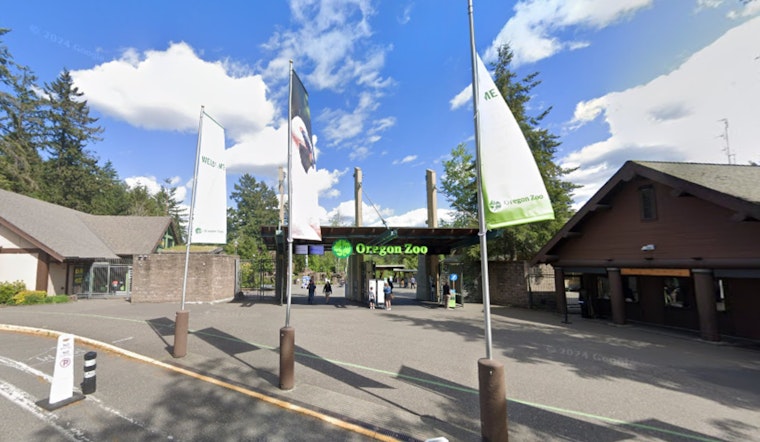 Oregon Zoo Celebrates Polar Bear Week with Special Research Activities and Birthday Bash for Amelia Gray and Nora