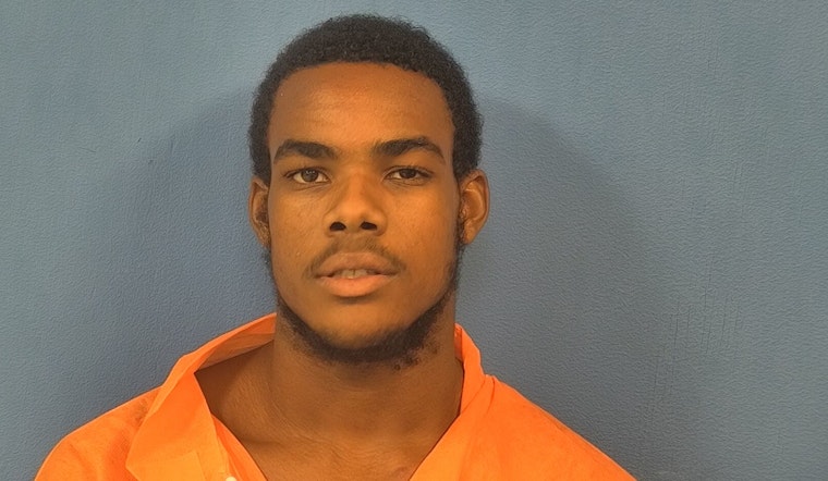 Oswego and Woodridge Teens Charged in Alleged Daylight Armed Robbery Using BB Gun in DuPage County
