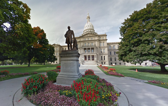 Outcry as Witness Uses Racial Slur at Michigan Senate Gun Legislation Hearing