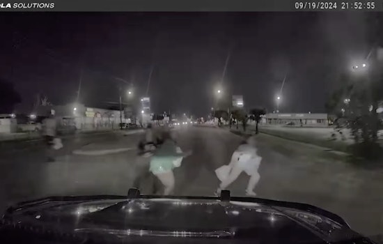 Outcry Ensues as Houston Police Release Footage of Officer-Involved Crash that Killed Mother Desire Pool