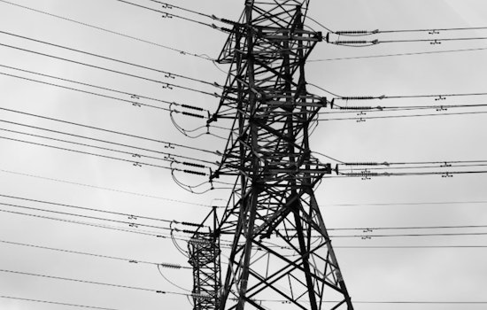 Over 8,000 Residents in Jefferson and Orleans Parishes Face Power Outages Due to Animal-Related Equipment Damage
