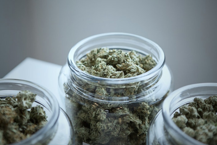 Over $21,000 in Cannabis Products Stolen from Bay County and Mount Pleasant Dispensaries as Police Investigate Statewide Burglary Pattern